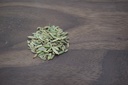 Fenchel ganz Bio Aromaschutz-Beutel 1 Kg